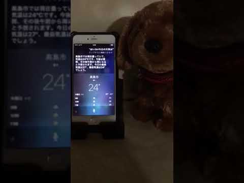 会計学科 はいSiri 今日の天気は？木村勝則滋賀県高島市！