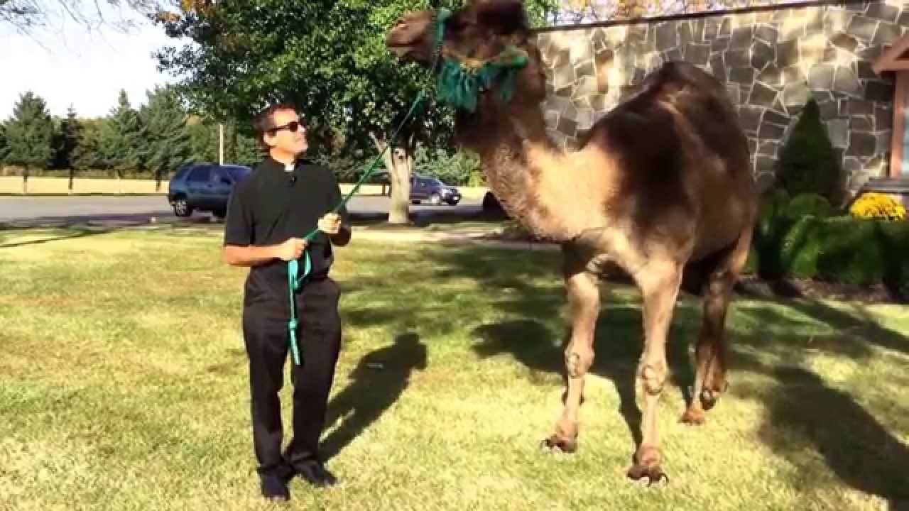 It would be easier for a camel to pass through the eye of a needle... (PLEASE READ DESCRIPTION)