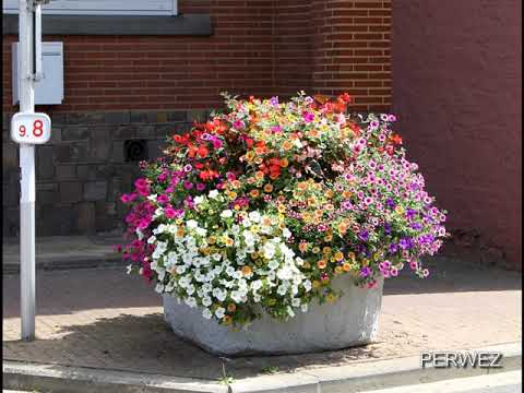 園芸 Villes et Villages Fleuris コンクールの特別賞