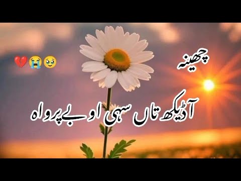 Aa Dekh Sa Sahi Oh Be Parwah| Ahmed Nawaz Cheena |Saraiki Song
