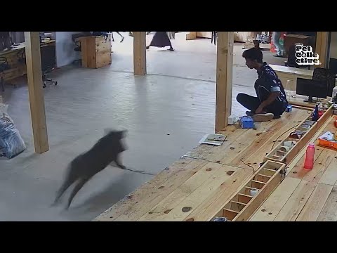 Hilarious Security Camera Fails 🕵️‍♀️