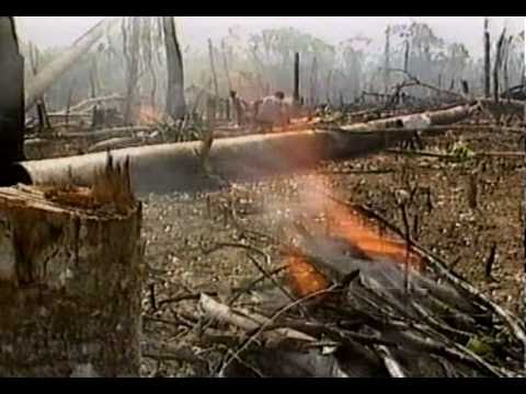 Mittendrin im Zoo Folge 32 Teil 1