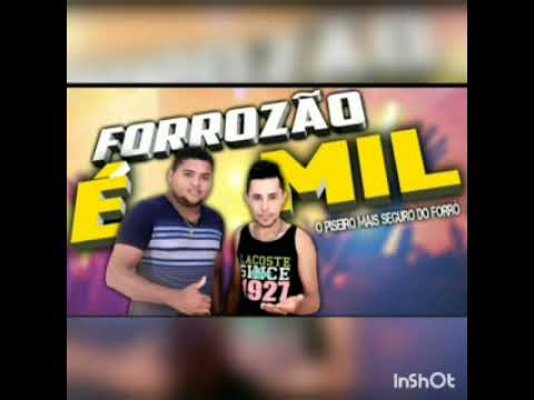 Forrozão é Mil vol 5