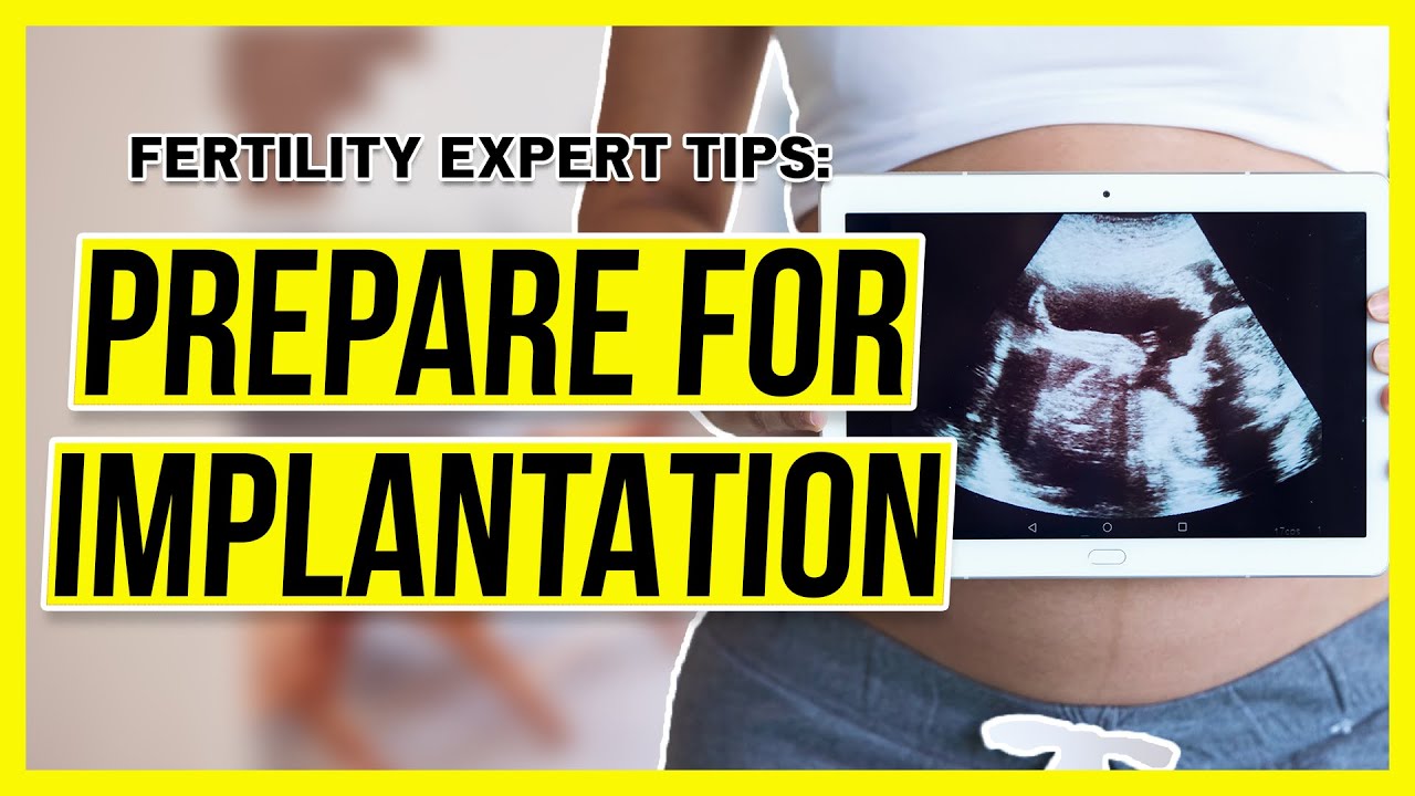 Preparing for Implantation | Expert Tips