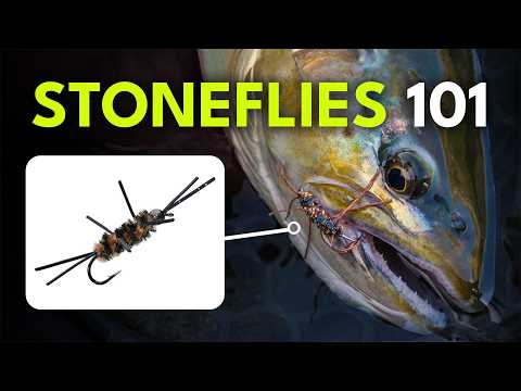How To Match the Hatch with Stoneflies — Fly Selection Tips | Episode 7