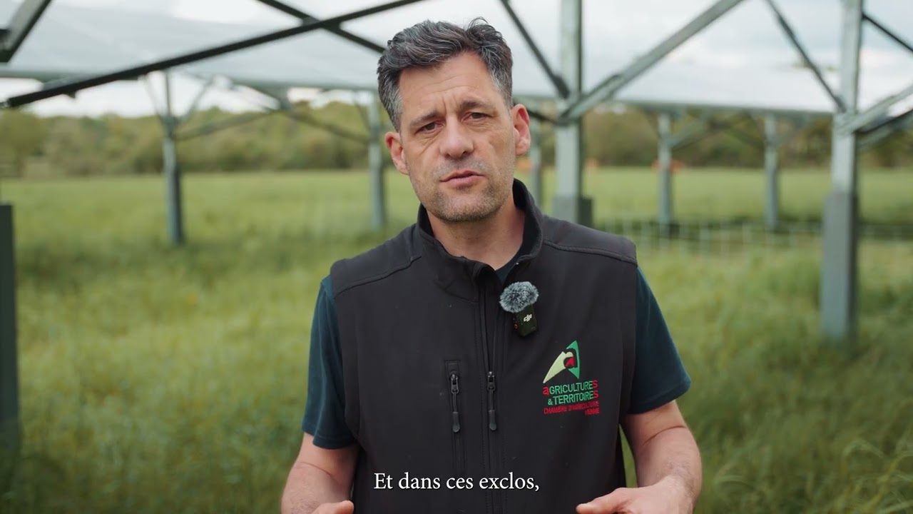 Valeco - D&eacute;monstrateur Agrivolta&iuml;que Bovin