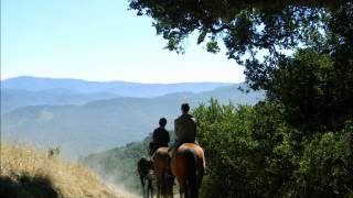 Michigan Blackhawk- Michael Nesmith