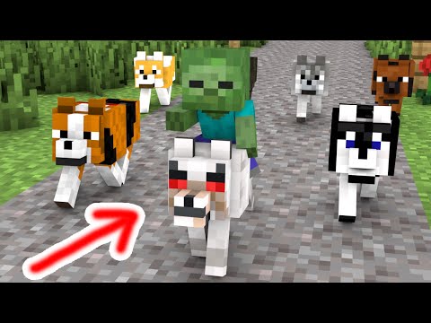 Monster School : Baby Zombie and Dog Rescues Friends - Minecraft Animation