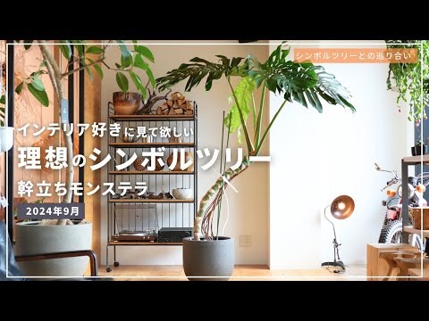 フォレストクレーンズビル 植物