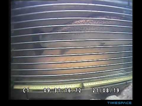 Kalahavainnot.luke.fi: Iso meritaimen