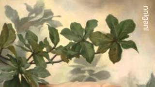 Haris Alexiou-To Tango Tis Nefelis / Tango to Evora/