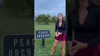 Did you know this about the Peach Orchard? #gettysburg #battlefield #history #peachorchard