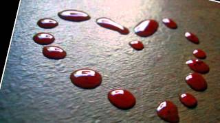 Download lagu The Beauty of the Blood - Joseph Habedank mp3