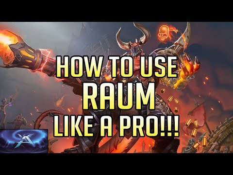 [Paladins] Raum Pro Guide