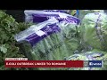 VIDEO E Coli Outbreak Linked To Romaine Lettuce