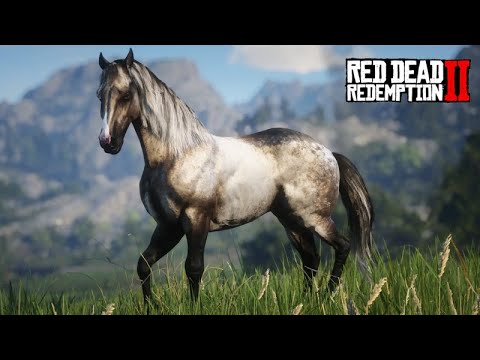 Domando o Mais Belo Cavalo - CAVALO PASSO FINO - Nova Raça - Red Dead Redemption - MOD