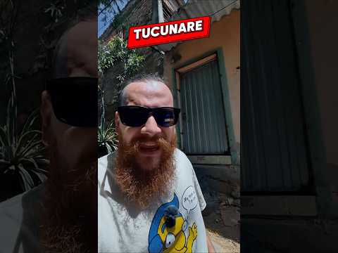 El SECTOR de cucuta con CASAS-PUENTE #nortedesantander #cúcuta
