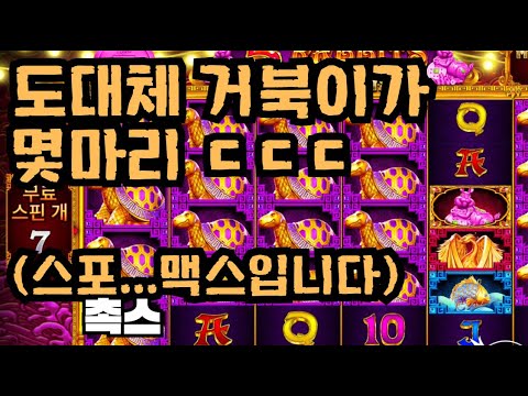 [슬롯][제보영상][닉네임:촉스] 토라매 맥스 (썸네일 명일 업로드예정)