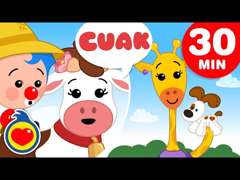 A Vaquinha Laura... Está Errada 🐮 e + Música infantil de Animais (30 Min) | Um Herói do Coração ❤️