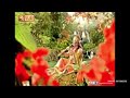 Mukunda Mukunda Song Whatsapp Status