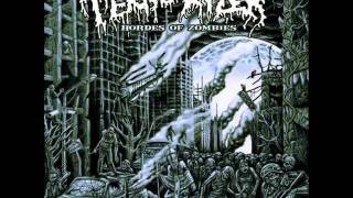 Terrorizer - Flesh To Dust [NEW ALBUM 2012]