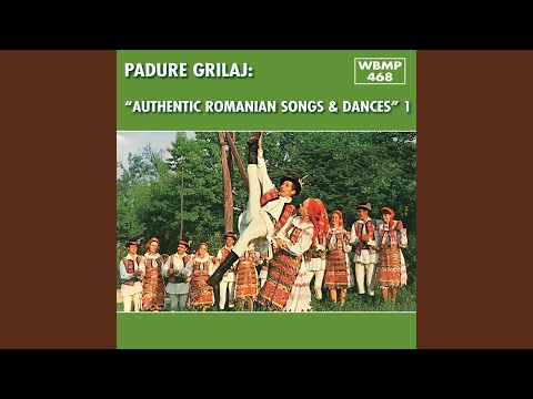 Sirba de la sticlâria (Moldova)