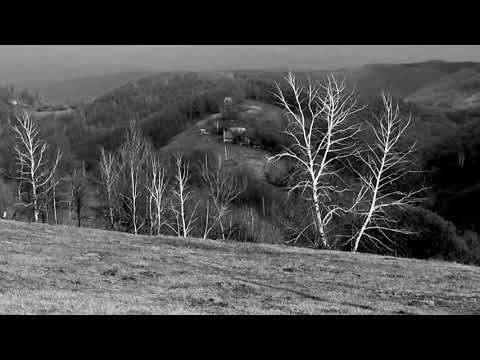 Undeva in Apuseni 11