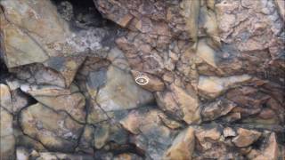 Ben Frost - Theory of Machines