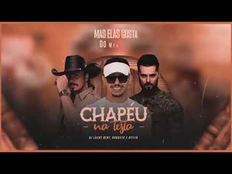 CHAPÉU NA TESTA (FUNK REMIX) DJ DUDU LUCAS E DJ GUI E DJ ELISON, MC LAVÍNIA