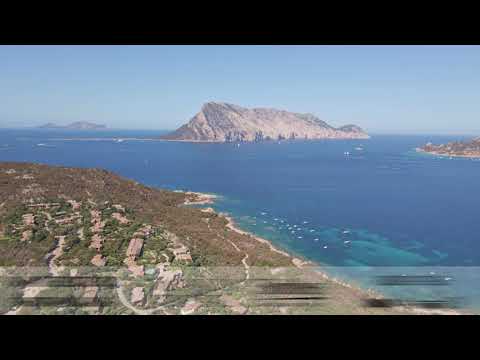 Anteprima video