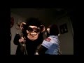 Why Monkeys Live in Trees 