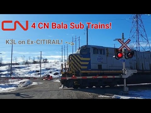 4 Trains around the CN Bala Sub w/ RS3L, K3H on Ex-CREX Leader, P5, VIA Canadian