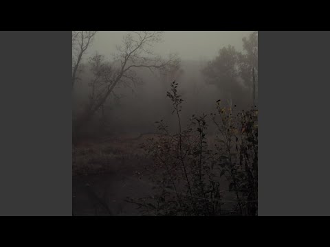 Video thumbnail for 50 оттенков (50 Shades)