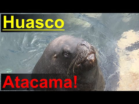 Huasco, Región de Atacama