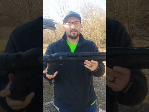 (TR IMPORTS) Silver Eagle RZ-17 Shooting Review 