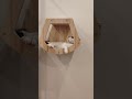 Cute Cotton Tuxedo Cat Cat Meow Tuxedocat Cute Kucingcomel Kucing Kucingputihlucu 毛小孩 猫 猫�