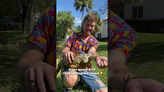 wait till you see number 5!!!  #snakes #animals #bites