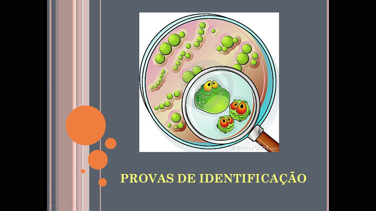 Provas de identificação cocos gram positivos