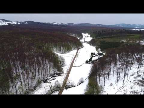 Trestioara 22 aprilie 2017