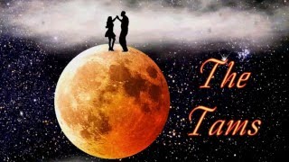 Thank You John - The Tams