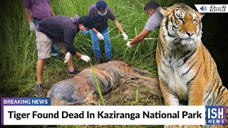 Tiger Found Dead In Kaziranga National Park