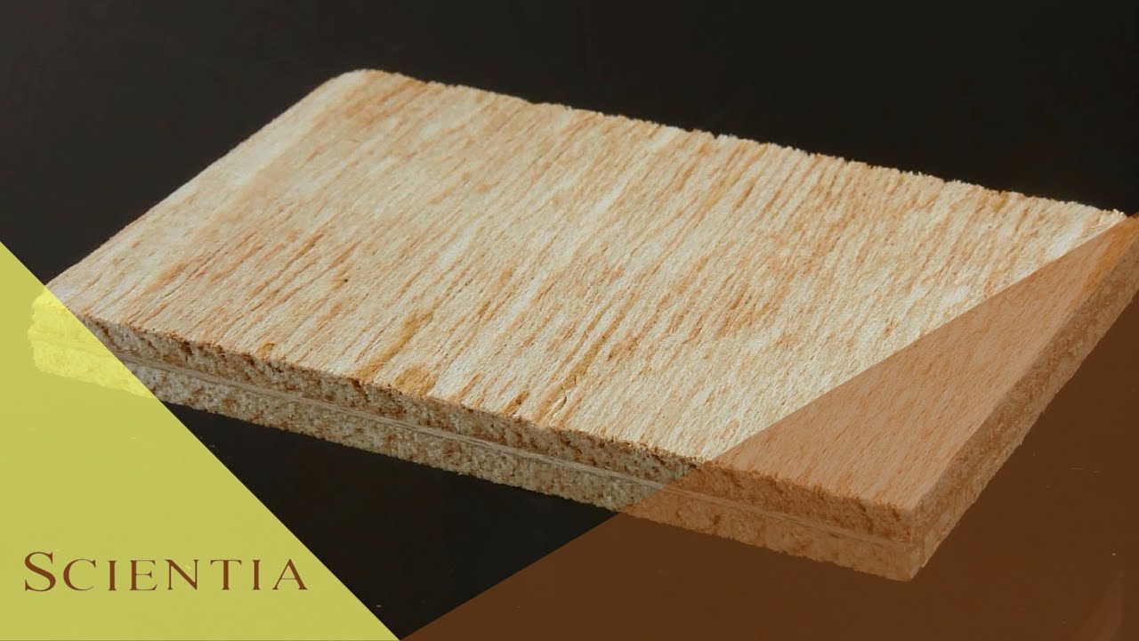 Scientia - Riscos da madeira compensada (30/05/16)