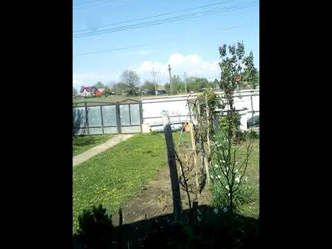 Nori de furtuna peste bălinești