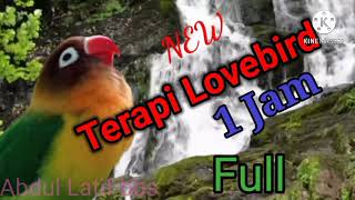 Download lagu Terapi Lovebird 1 Jam Full..relaksasi dengan gemericik air...#terapi#relaksasi@abdullatifbbs mp3 Download lagu Terapi Lovebird 1 Jam Full..relaksasi dengan gemericik air...#terapi#relaksasi@abdullatifbbs mp3