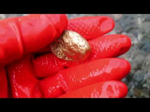 pepitas de ouro no rio