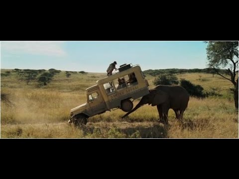 Safari (2016)