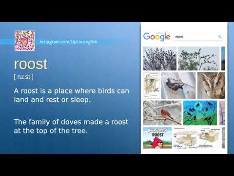 Roost : C1 level english vocabulary lesson, www.LipLix.com