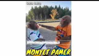 Download lagu Kata baba hewan lucu mp3 Download lagu Kata baba hewan lucu mp3