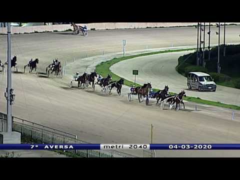 Aversa trotto 4 Marzo 2020 - 7° Corsa