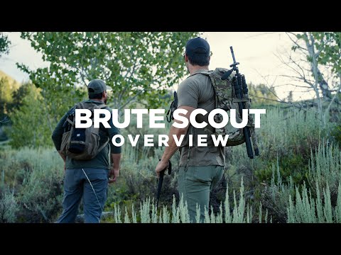 Best Scouting & Hunting  Day Pack | Eberlestock Brute Scout